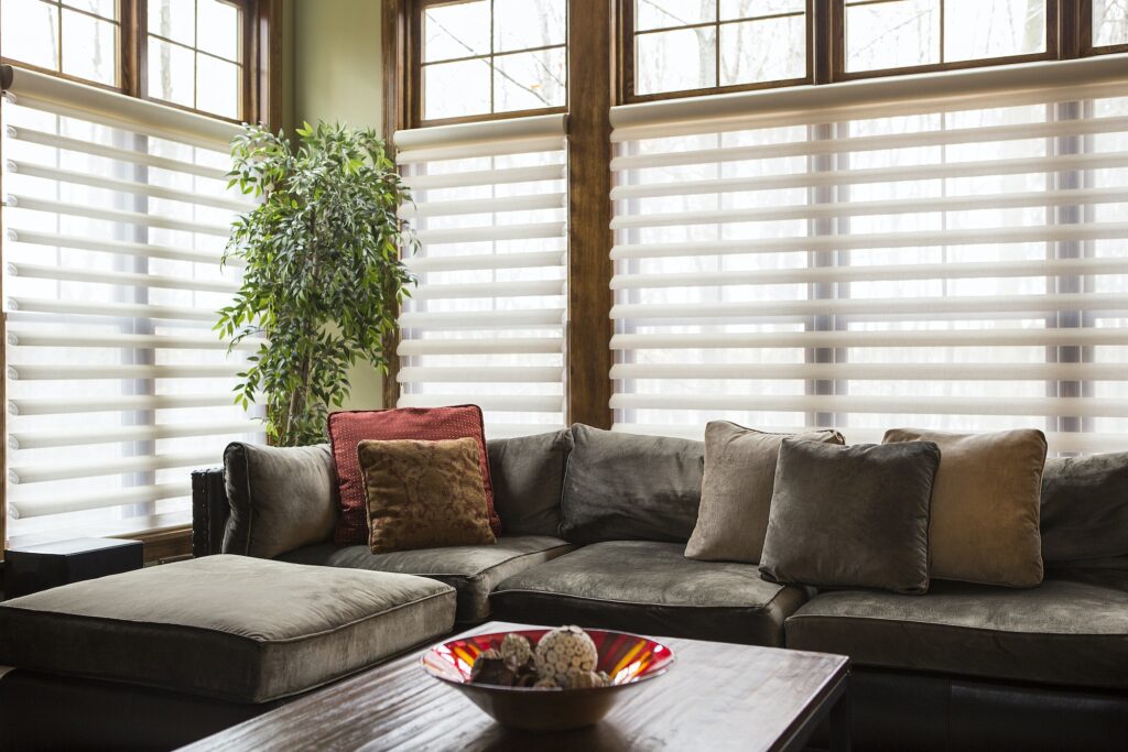 55263,Sofa and blinds in living room